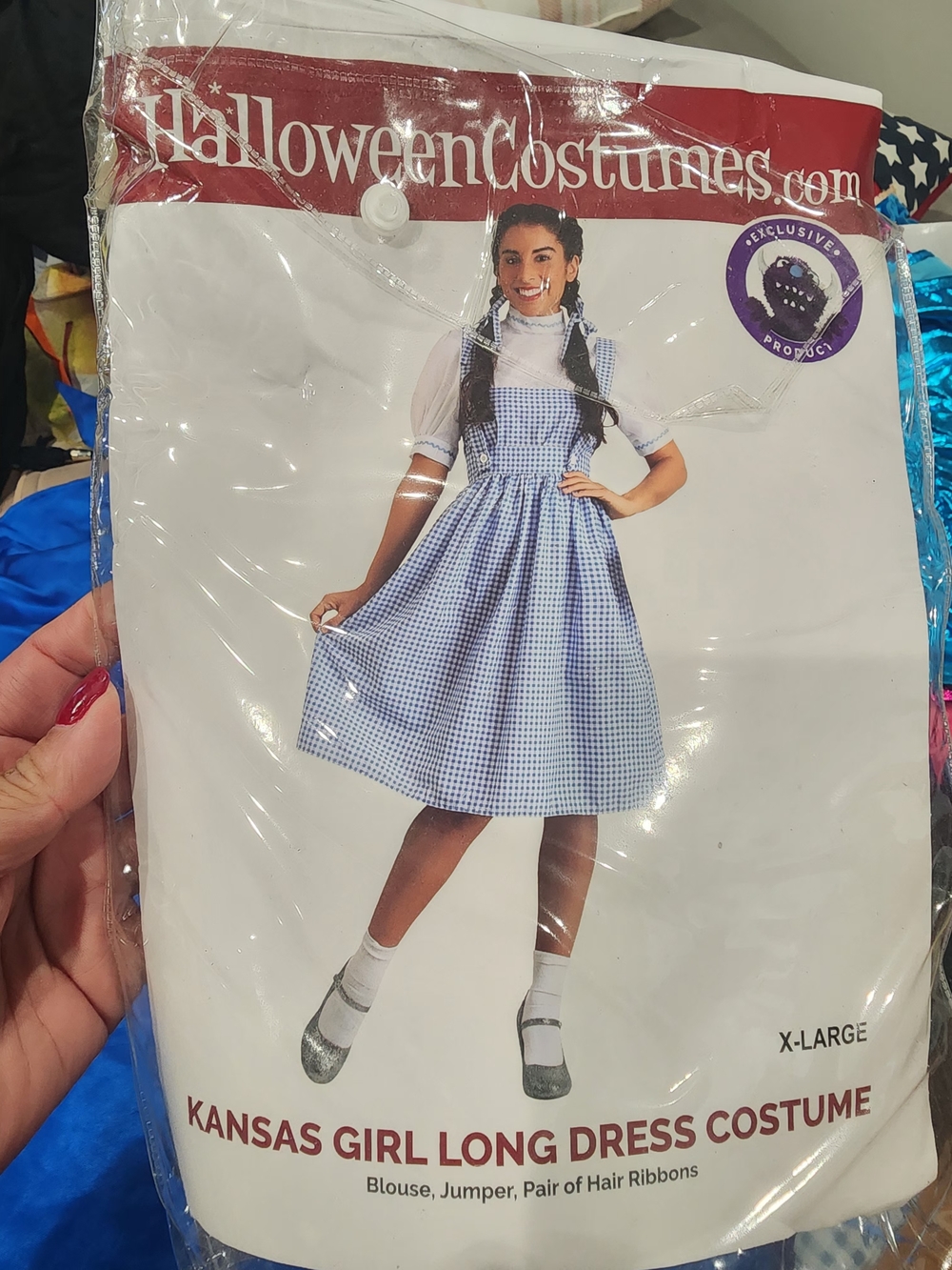 HalloweenCostumes.com Kansas Girl Blue Gingham Dress Costume